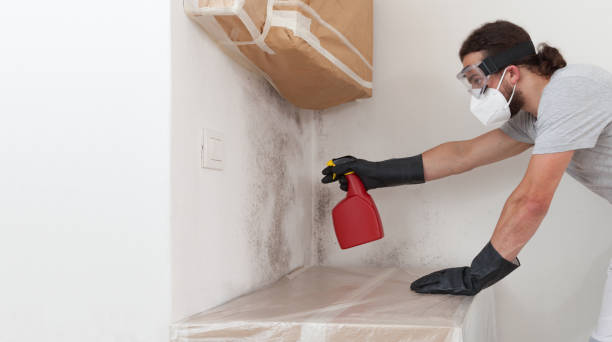 Professional Crawl Space Mold Remediation technician working in Glen Rock, PA