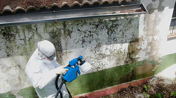 Top rated local Crawl Space Mold Remediation specialists in Glen Rock, PA